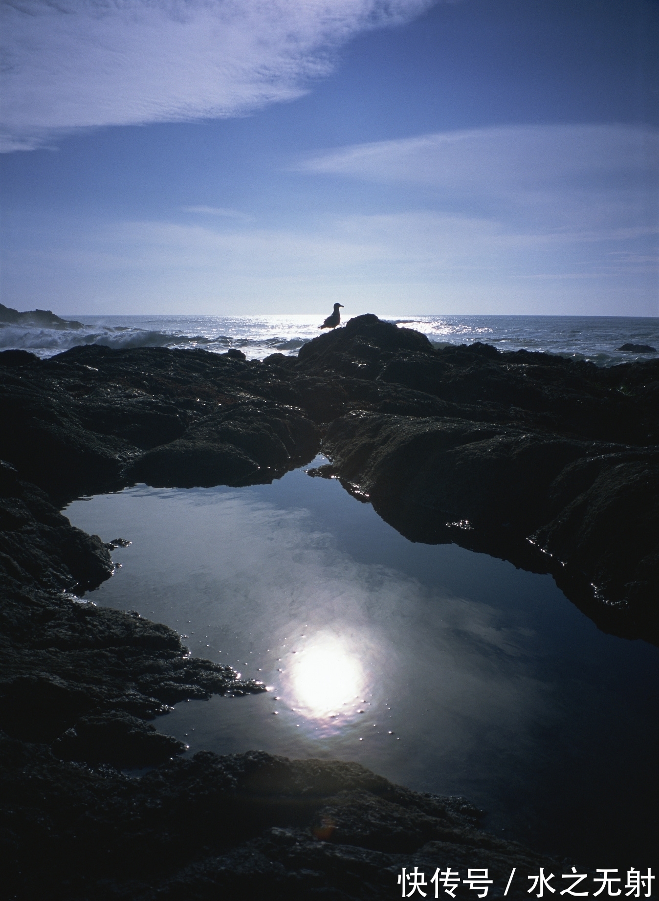 礼教@鲁迅——《狂人日记》