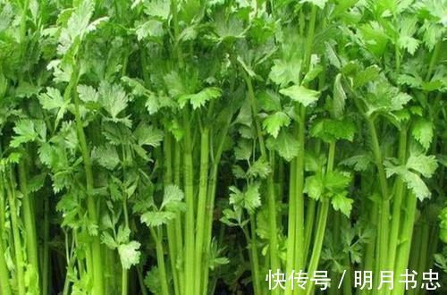 高血压|高血压的“死对头”找到了,早晚喝一杯,控制血压悄悄降下来