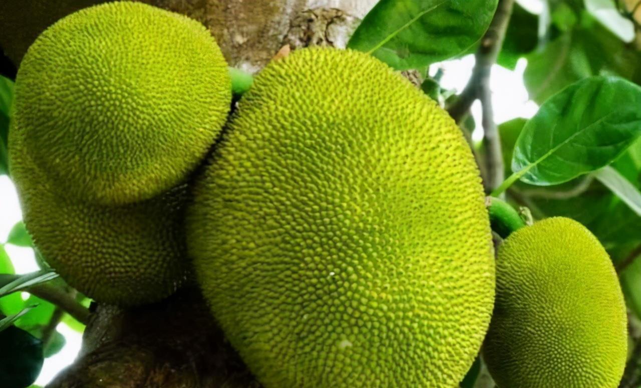 滋补|女性不愿老太快，推荐常吃3种食物，滋补身体，好处多多！