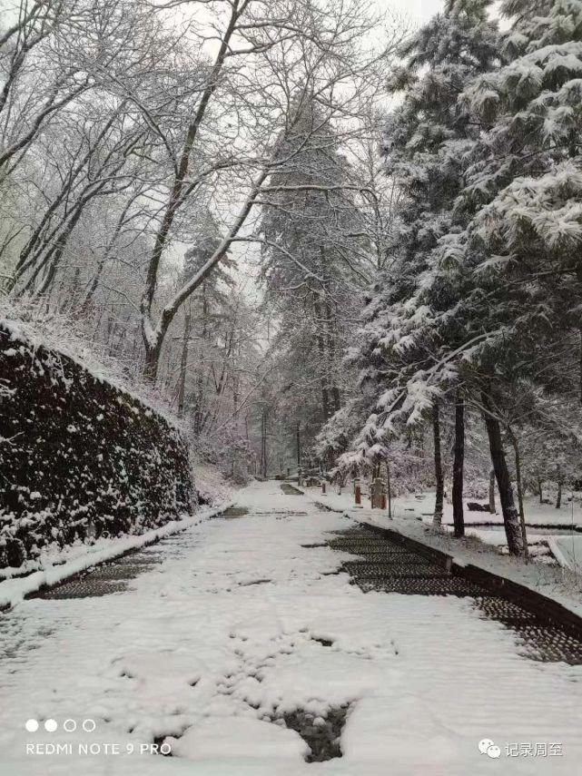 赏雪好去处！陕西黑河国家森林公园雪景和森林并存，风景美如画