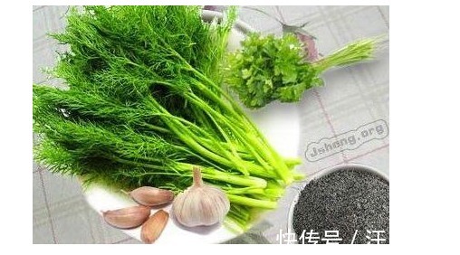 茴香菜|“皇帝菜”功效奇高,抗菌抗衰老、预防癌症,可惜没好多人喜欢