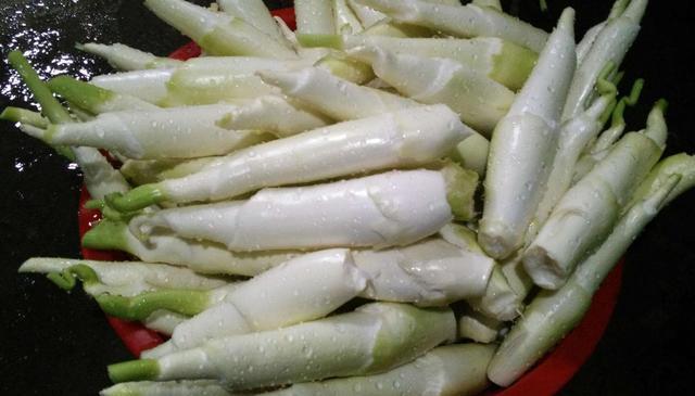 茭白5种最好吃的做法，简单美味又下饭，看看你喜欢吃哪种