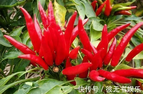 食物|高血压最怕的3种食物,经常吃点,血管畅通,血压蹭蹭降