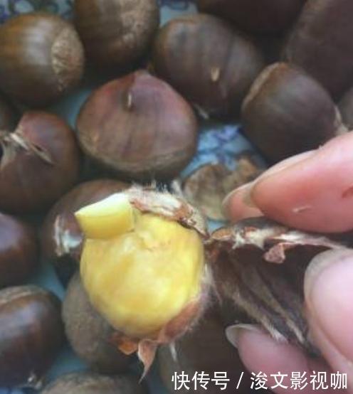 方法|生板栗去壳我有方法,不伤指甲轻松搞定,剥出来的板栗干净又完整