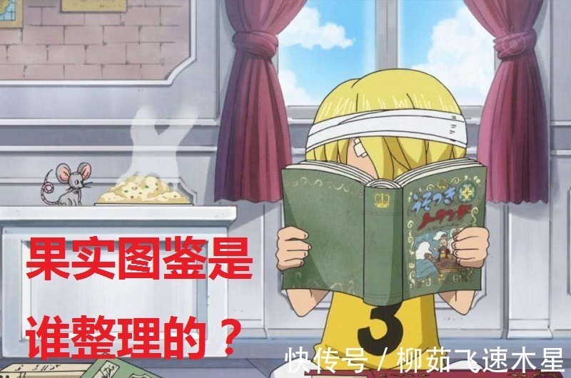 恶魔果实图鉴|海贼王三个理由证明恶魔果实是人工种植的,您可别不相信哦