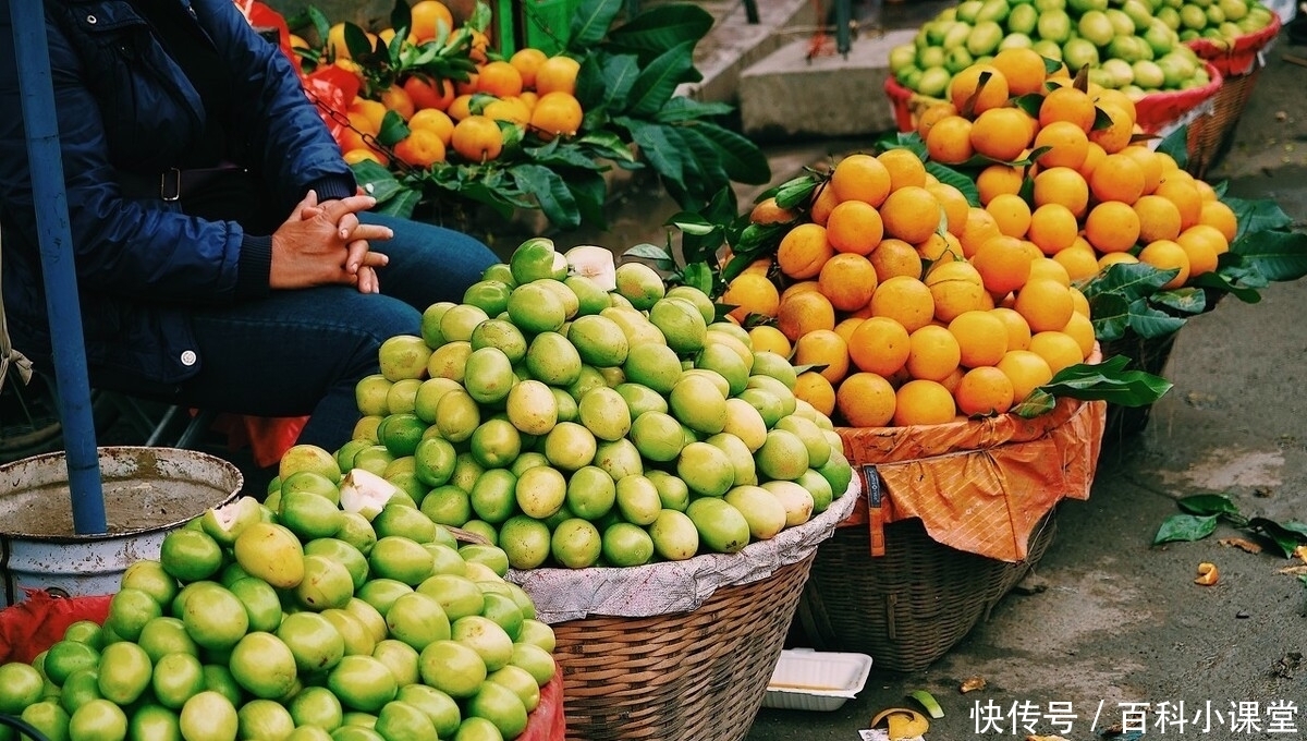 适合春游的云南自驾线路，玉溪-普洱-西双版纳，收藏起来放假去