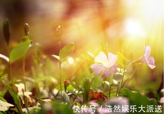 中老年人|曝光坑惨中国人的5个养生误区!你以为在养生,其实是在折寿