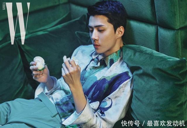 大部分成员都是奢侈品牌Ambassador或者缪斯的EXO