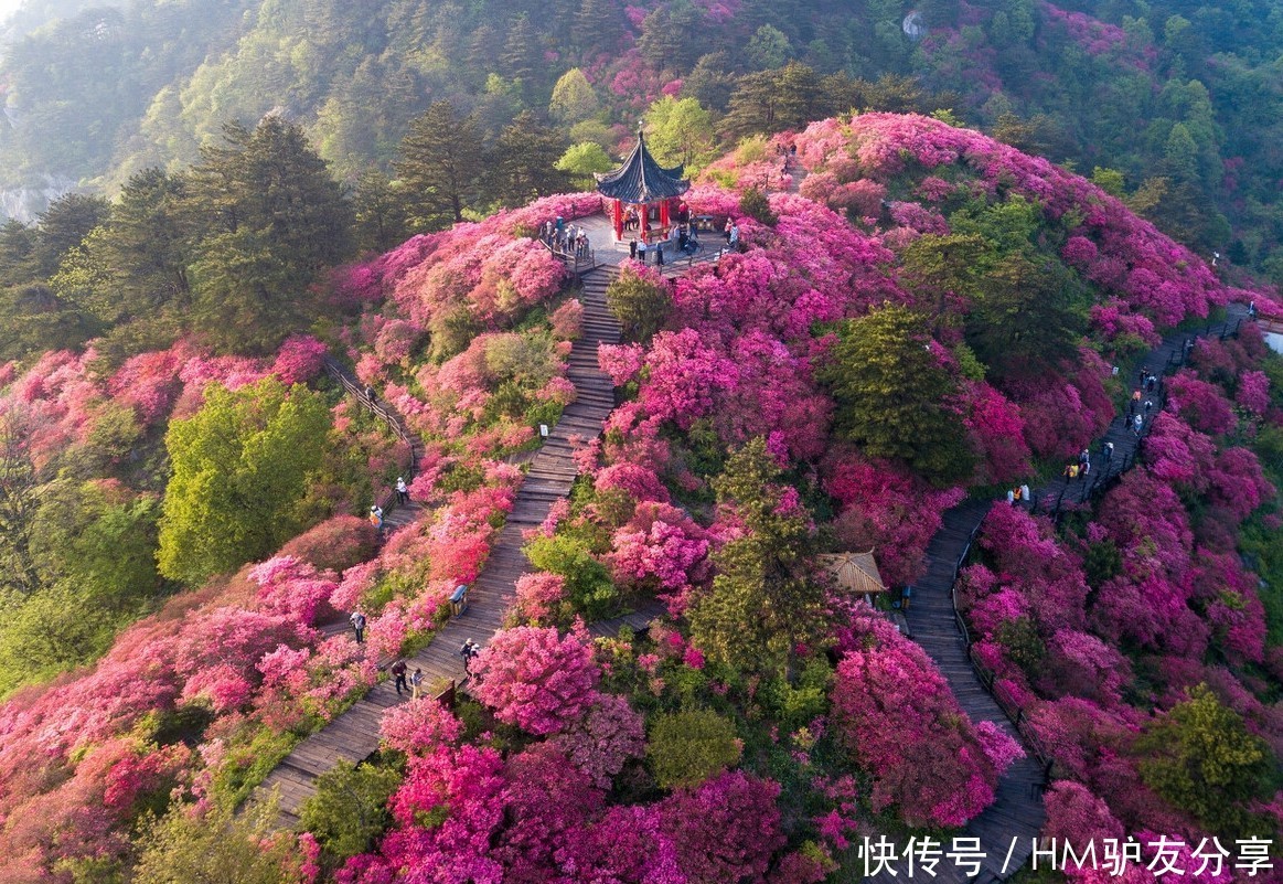 中年|春天最适合小住三五天的12个地方,错过这些美景,又要等一年