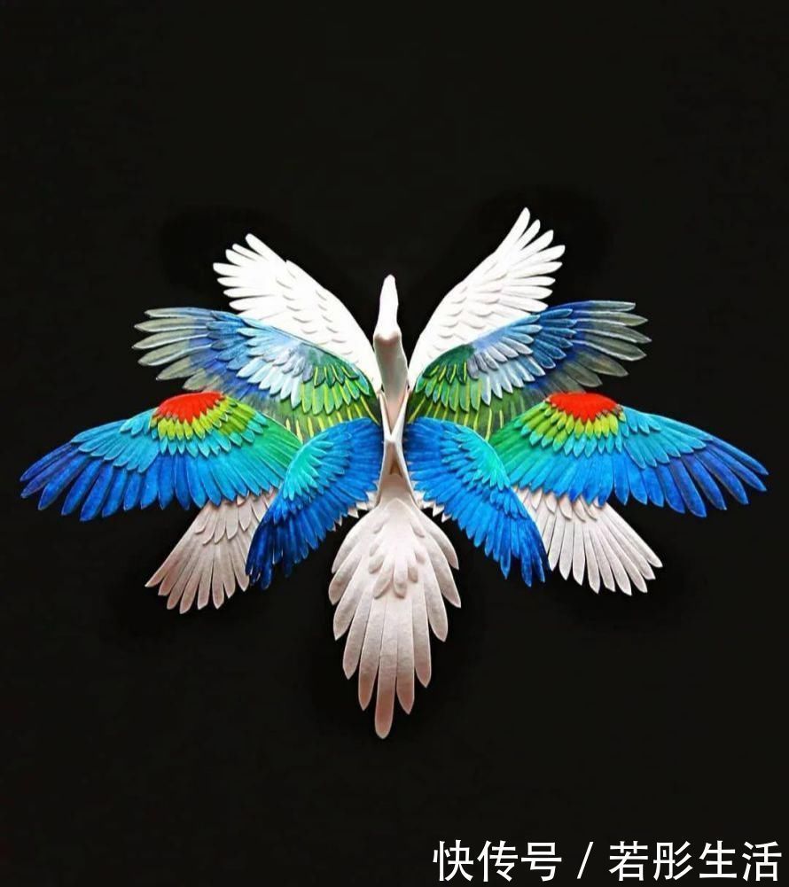 翅膀$抑郁小哥把一只2毛钱的千纸鹤折成了我买不起的样子,不但病好了还年入百万