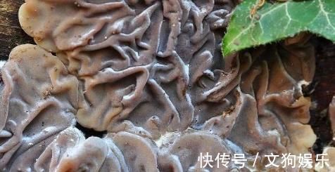 甲状腺结节|甲状腺结节别害怕，做到2吃2不吃，“结节”随时会偷偷的溜走