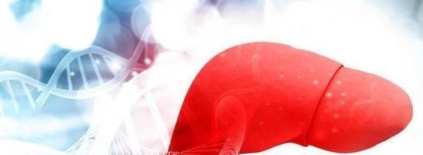 酒精|为何有些人天天喝酒身体却很好呢原因有4点，为健康应该明白