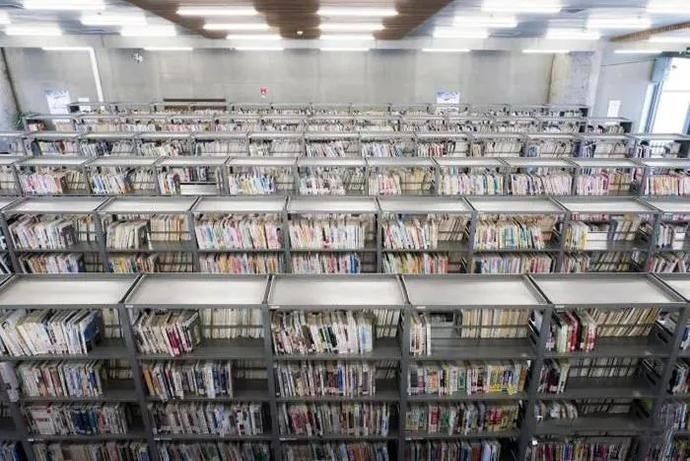  艺术|是自然的声籁，也是艺术的回响，它们在青浦悄悄发着光！