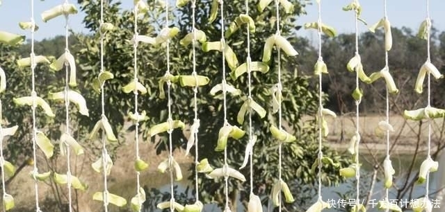 5道超下饭的自制腌菜,做法简单,无添加剂,存放1年都没问题