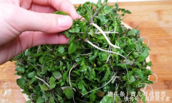 降低|藏在路边“泻药菜”，每天炒一盘，刮油排毒，口臭没了，降低体重
