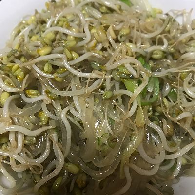 豆芽粉|绿豆芽成长记