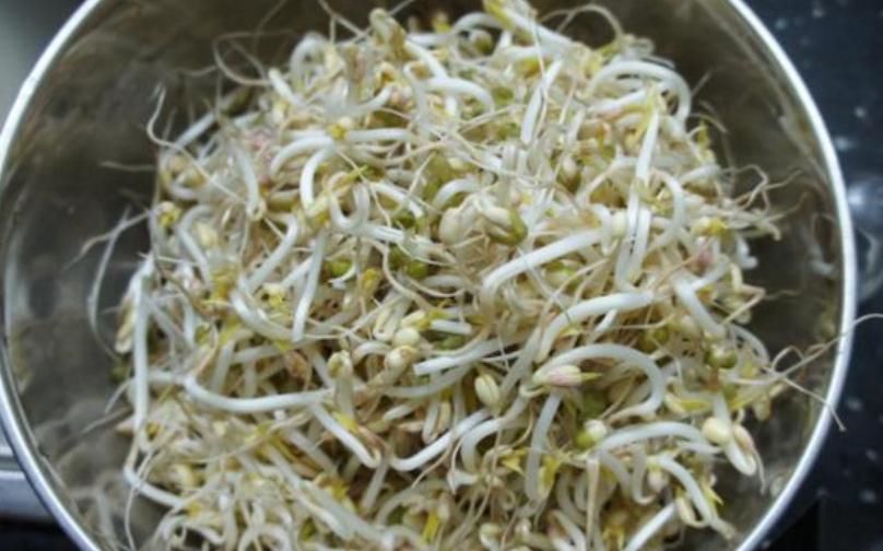  金针菇|5种火锅菜养阳台，长得快、味道香吃火锅随摘随涮，超方便