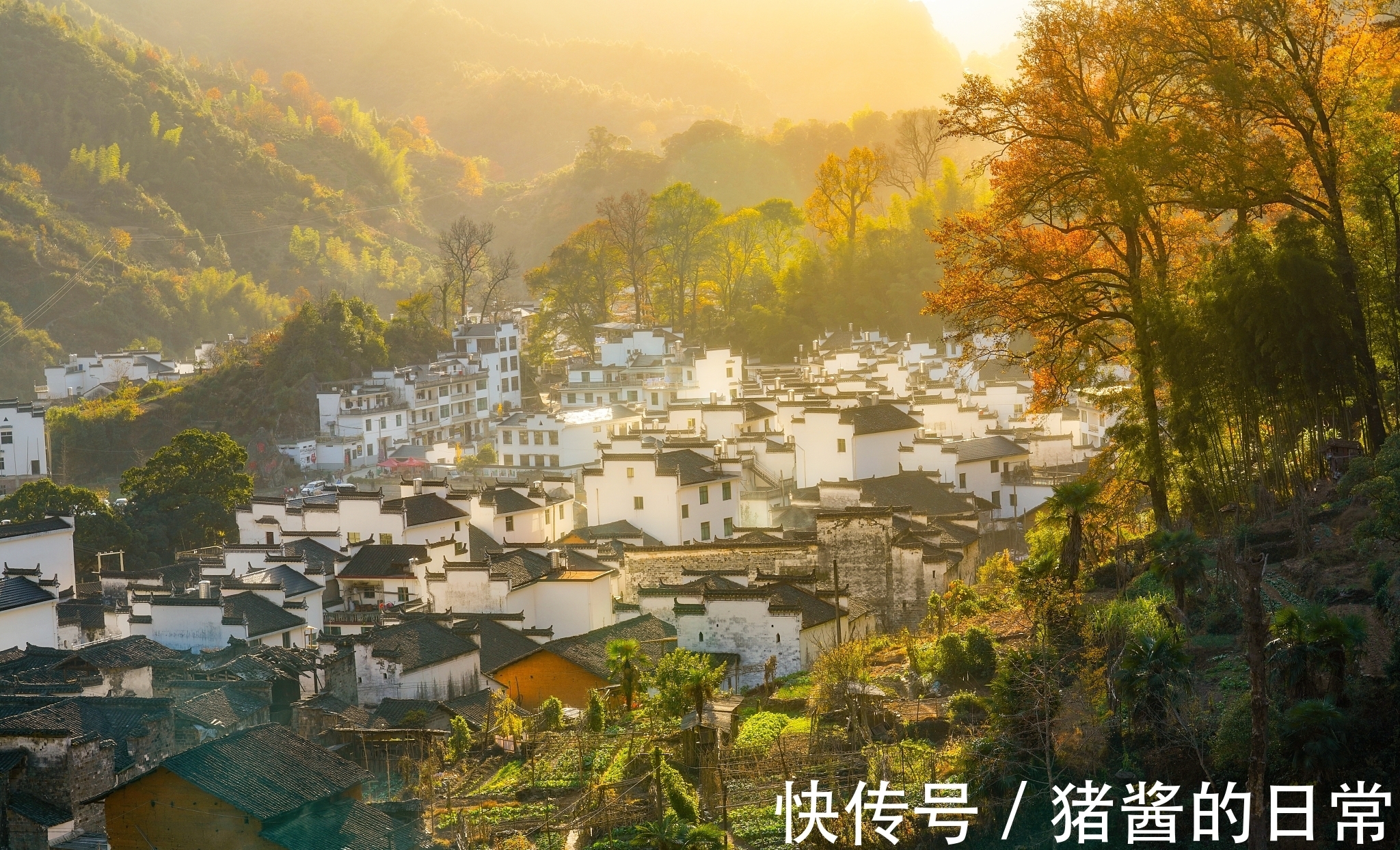 桑林里|王维一首五古,画面宁静祥和,让人向往