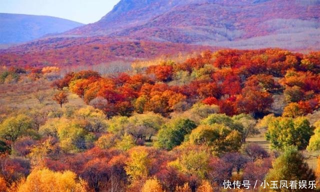 「聚焦」｜索博日嘎镇金秋美景为祖国庆生