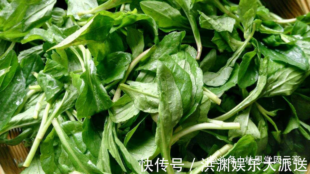 马兰头|女性常吃此菜,每天来一盘,皮肤白皙细腻,子宫越来越健康