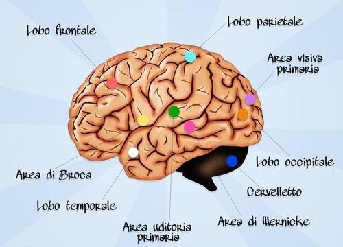  质量|睡眠质量不好怎么办，可以改善吗？两个步骤，带你远离失眠困扰