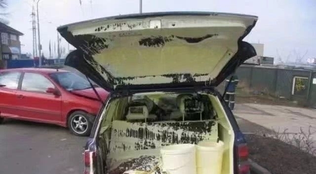 |幽默笑话:宿舍一哥们买了一碗饺子,味道弥漫了整个宿舍