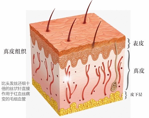 退税|护肤界7大骗局，看看你是不是，也交过智商税！