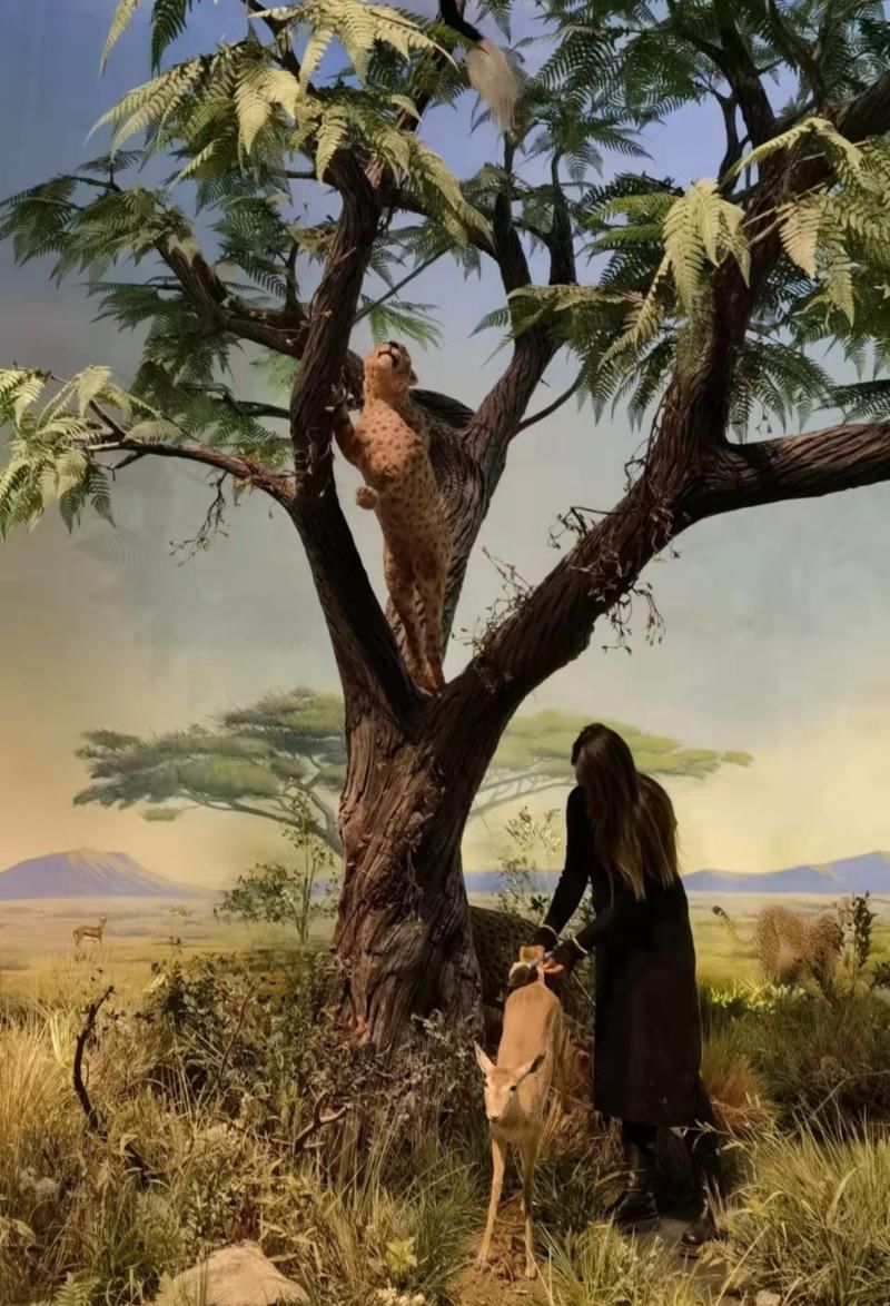 揭秘生物復原師丨80后夫婦迷戀復原瀕危生物 “想讓人知道它們曾經來過”