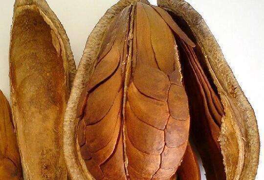 心脑血管|高血压还傻傻只吃药教你一招不吃药不花钱，血压轻松降