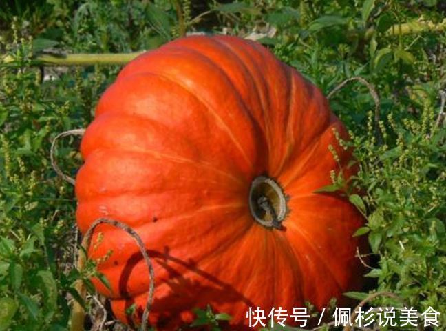 南瓜又有新做法,不蒸不炸,甜香软糯,孩子隔三差五就馋它!