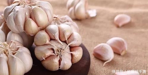 心脑血管|发了芽的大蒜,比黄金还珍贵,许多人还不了解,早知早受益!