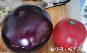 开胃茄子菜谱，西红柿炒茄子，简单美味营养，超级下饭