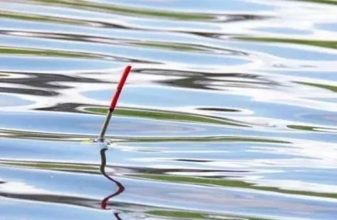 冬天鱼口弱真的不好抓，你可以试试这几招，能有效放大漂讯，提高抓口成功率