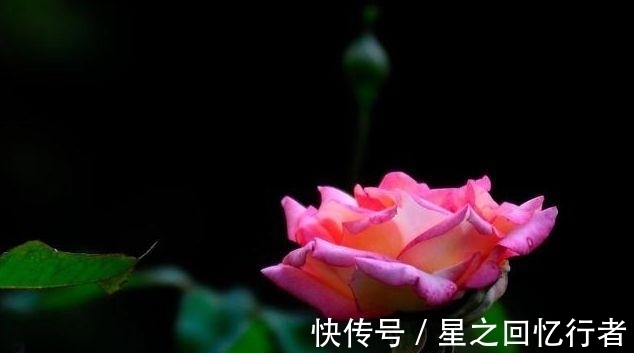 思念|7月，打破思念，旧爱回首，三大星座，心有不舍，初心依旧