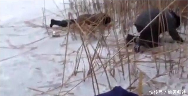 农民不畏寒冷,趴在厚厚的冰面上10小时,为了能吃得上鱼肉!