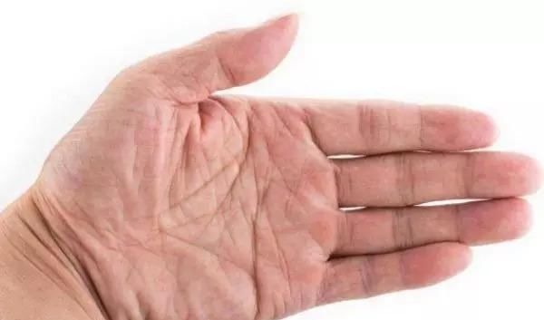 俗语@俗语“十指簸箕没有斗”其实后半句才经典,快看看你有几个斗