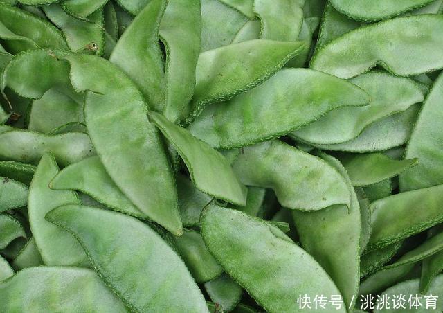 营养物质|8种不宜常吃的蔬菜，南瓜排最后，排首位的不少人或许天天吃