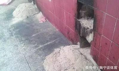 肥料|什么药片水、黄豆水,都不如家里“2种灰”,养花杀菌灭虫、补肥