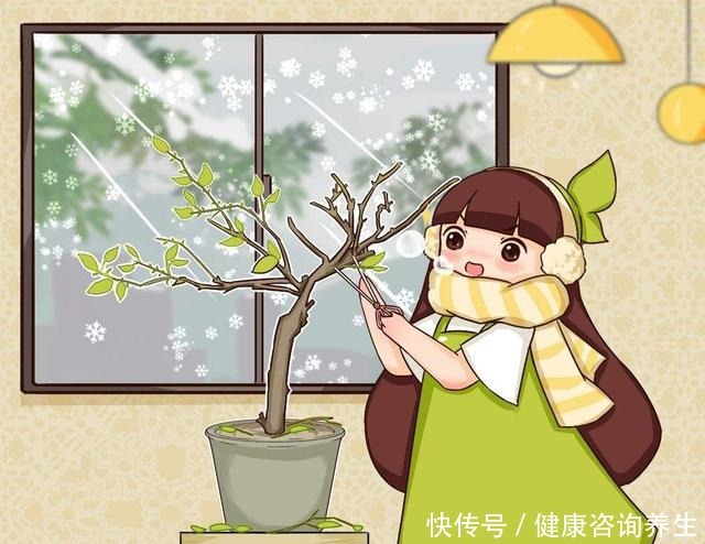 三角梅掉成光杆,一定是这“两点”没注意,现在挽回还有救!