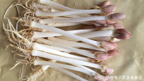 发芽“花生”扔水里，几天长成“含羞草”，越养越有惊喜