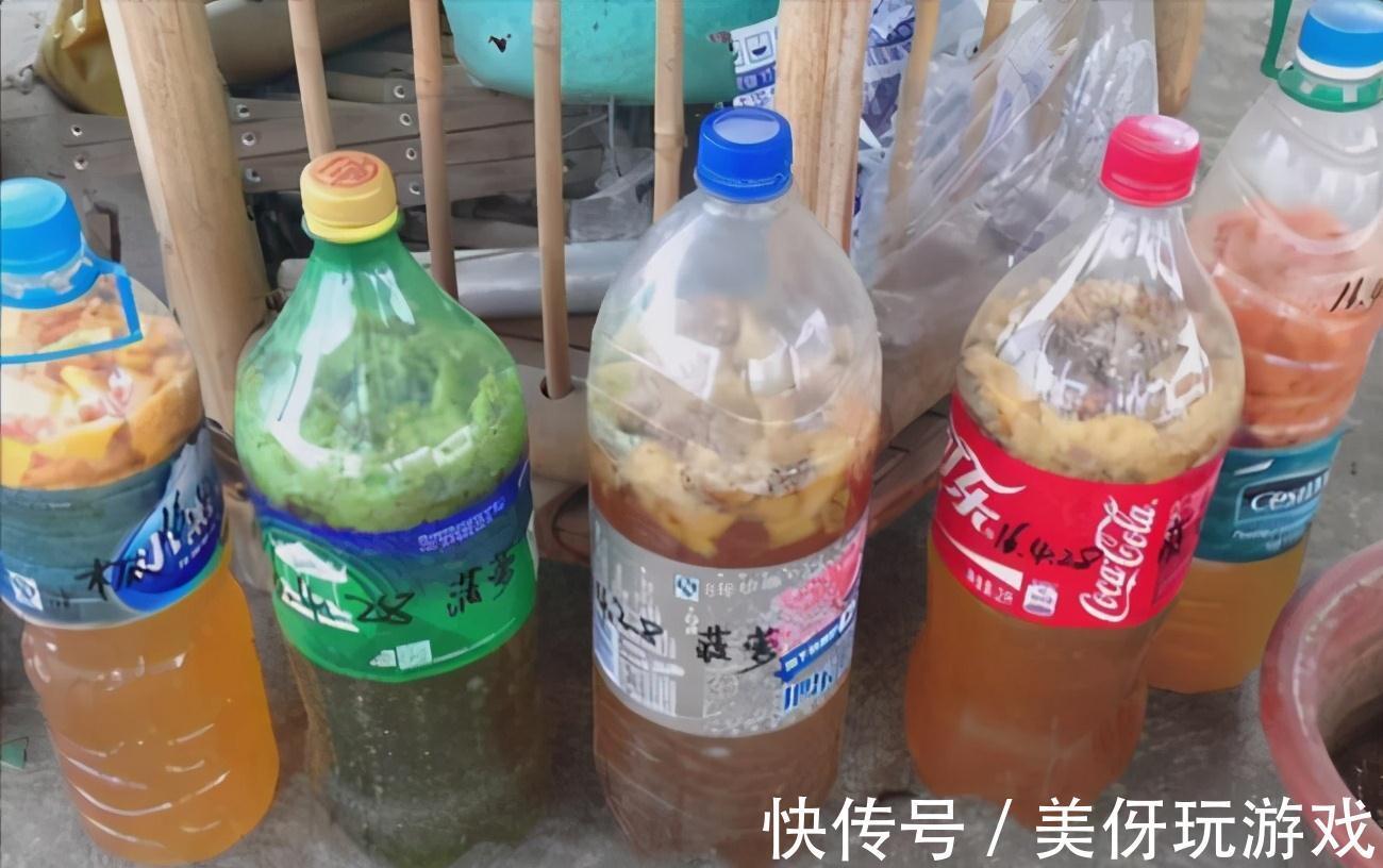 养花肥“又杂又贵”?认清3元素,花几块钱,养一百种花