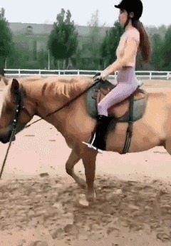 |搞笑GIF:花大价钱来看的表演 你们说我是不是被骗了