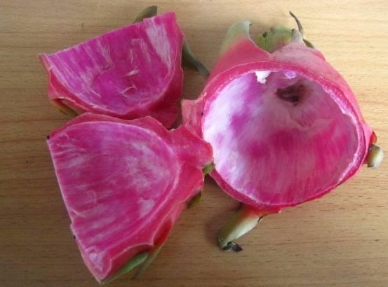 3种“水果皮”，不仅能吃，还能当肥料，养啥花都能“爆盆”