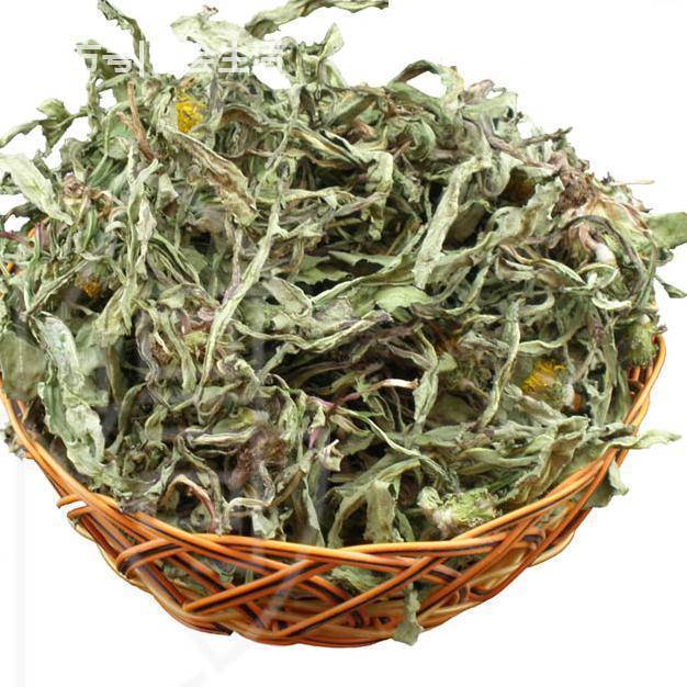 蒲公英|“万草之王”蒲公英太牛了,和它一配便秘口臭没了,肤白貌美了