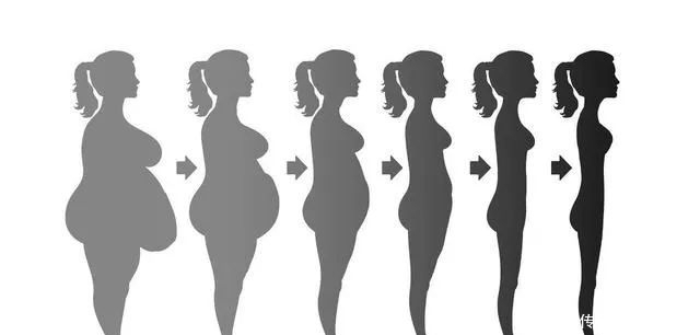 陈根:异亮氨酸,改善代谢的关键氨基酸