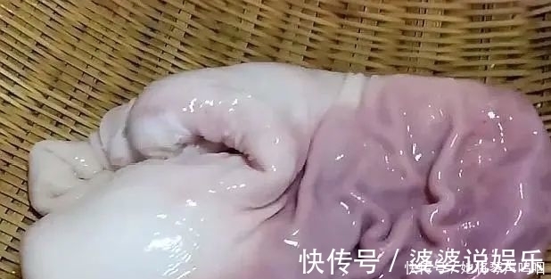 滋补|冬季进补,鸡牛羊都没它好,炖一锅滋补又美味,孩子常吃免疫力强