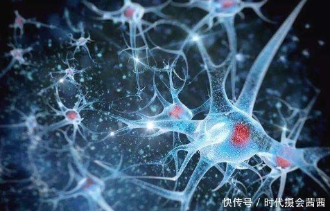 挂号|只给你30秒,发现10个人脸以上的,大脑还很健康,5个以下挂号吧