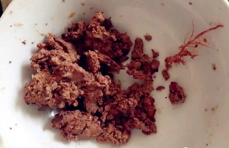 黑坑|这款天然饵料制作方法简单,打窝作钓都很有用,胜过蚯蚓红虫!