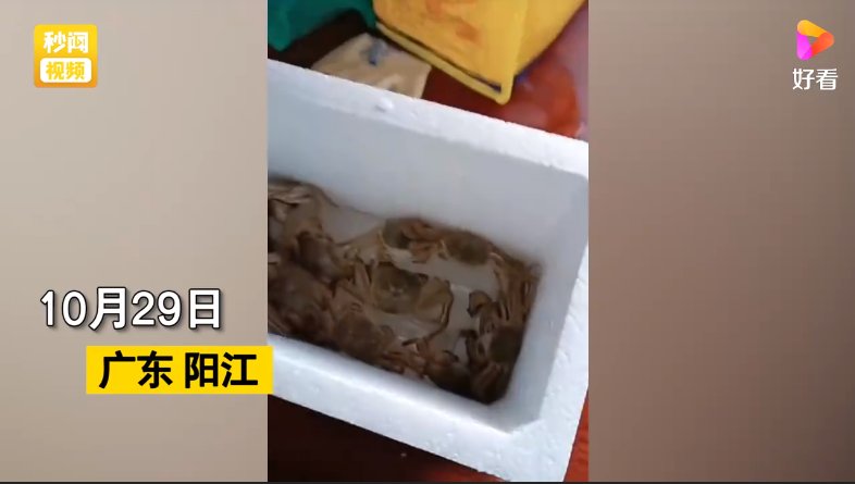 大闸蟹|男子花68元网购20只大闸蟹，打开快递瞬间懵了