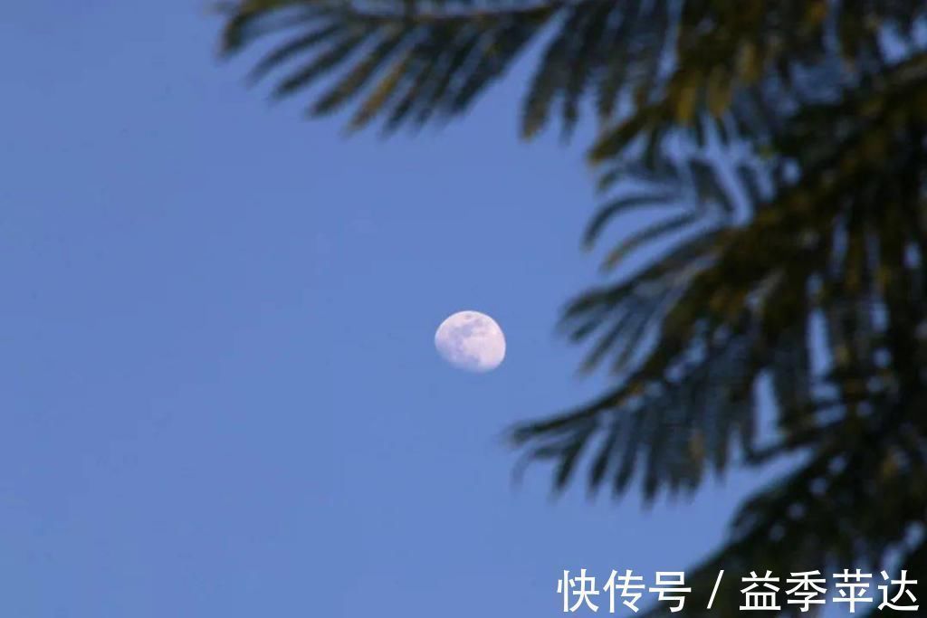 古典文學(xué)#中國歷史上影響最大的10首詩,驚艷千古,中國人必讀古典文學(xué)與詩詞今天